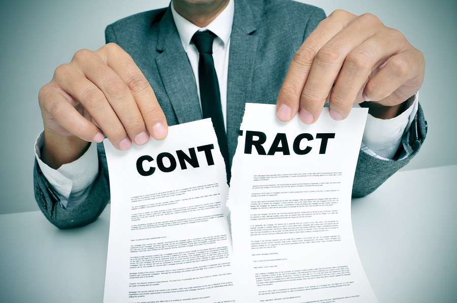 Read more about the article Who Would Sign the Social Contract?
